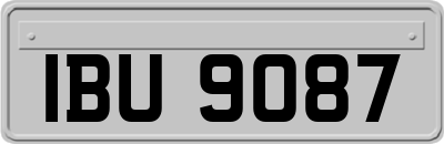 IBU9087