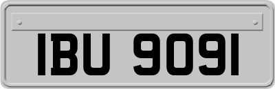 IBU9091