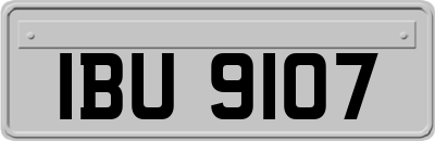 IBU9107
