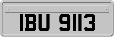 IBU9113