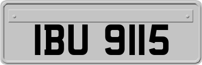 IBU9115