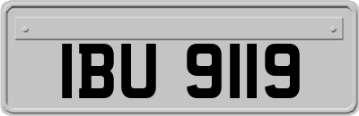 IBU9119
