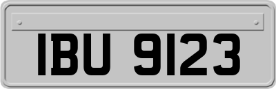 IBU9123