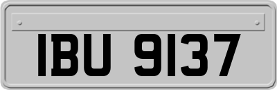 IBU9137