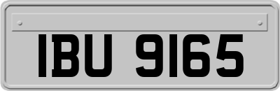 IBU9165