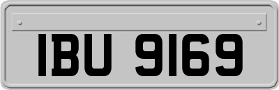 IBU9169