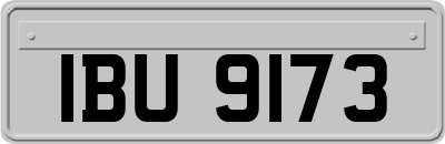 IBU9173