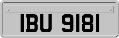 IBU9181
