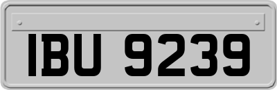 IBU9239