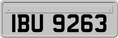 IBU9263