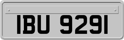 IBU9291