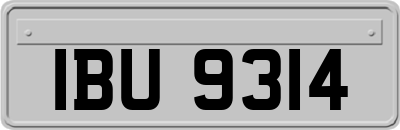 IBU9314