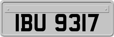IBU9317