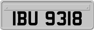 IBU9318