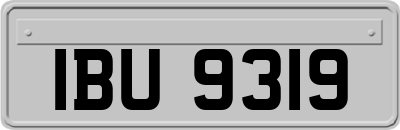 IBU9319