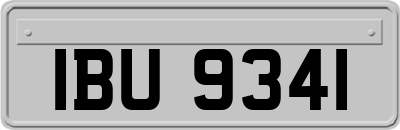 IBU9341