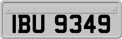IBU9349