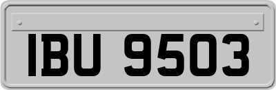 IBU9503