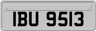 IBU9513