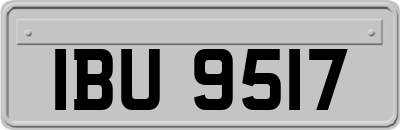 IBU9517
