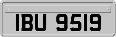 IBU9519