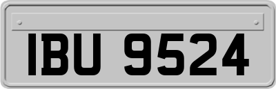 IBU9524