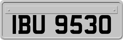 IBU9530