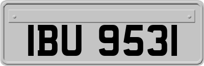 IBU9531