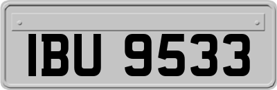 IBU9533
