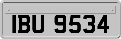 IBU9534