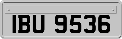 IBU9536