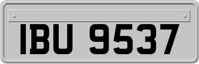 IBU9537