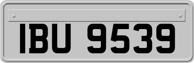 IBU9539