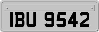 IBU9542