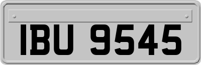 IBU9545