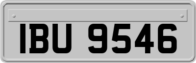 IBU9546