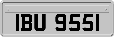 IBU9551