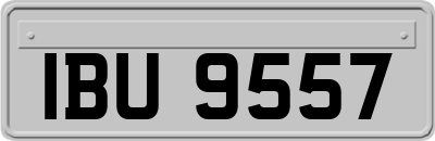 IBU9557