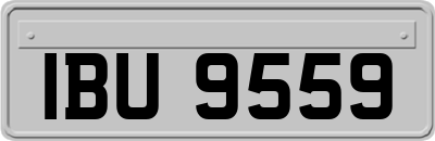 IBU9559