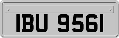 IBU9561