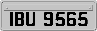 IBU9565