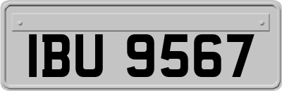 IBU9567