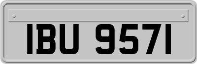IBU9571