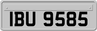 IBU9585