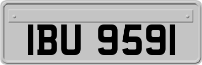 IBU9591