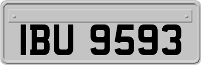 IBU9593