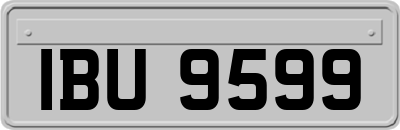 IBU9599