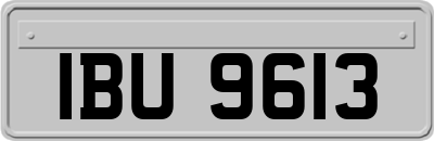 IBU9613
