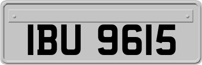 IBU9615