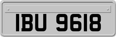 IBU9618